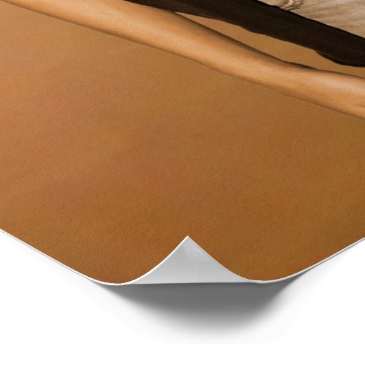 David Beach Poster (Hoek)