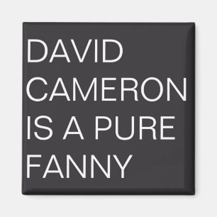 David Cameron Magneet