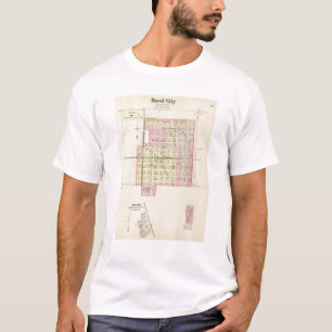 David City, Nebraska T-shirt