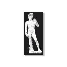 David door Michelangelo Ingewikkeld Canvas