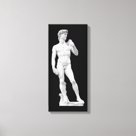 David door Michelangelo Ingewikkeld Canvas Afdruk