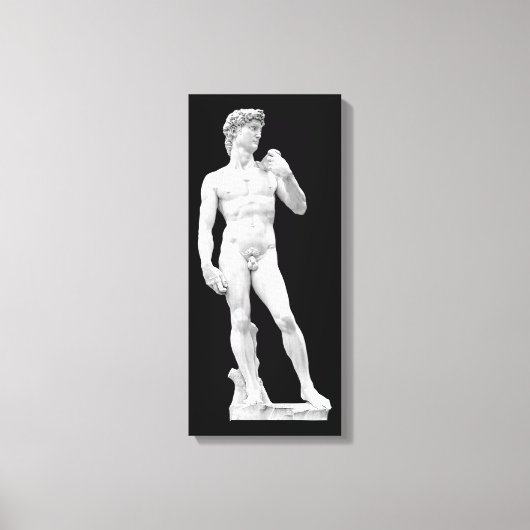 David door Michelangelo Ingewikkeld Canvas Afdruk (Voorkant)