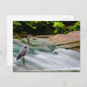 David Fortier River Park, Olmsted Herfsten, Ohio Briefkaart (Voorkant / Achterkant)