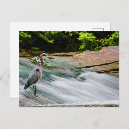 David Fortier River Park, Olmsted Herfsten, Ohio Briefkaart (Voorkant / Achterkant)