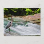 David Fortier River Park, Olmsted Herfsten, Ohio Briefkaart (Voorkant)