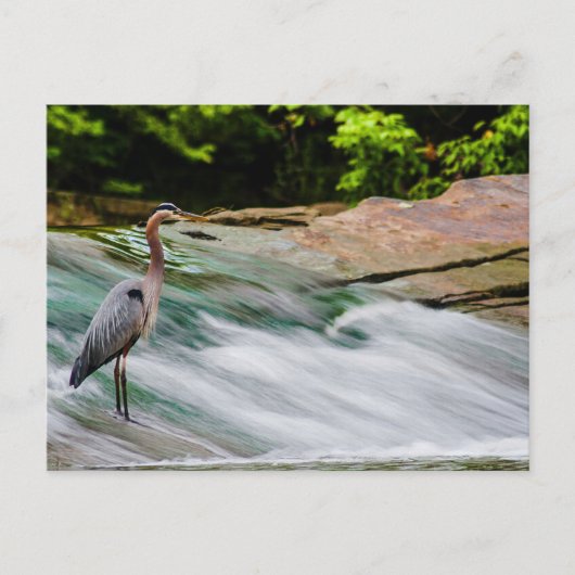 David Fortier River Park, Olmsted Herfsten, Ohio Briefkaart (Voorkant)