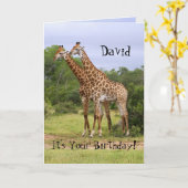 David "Go Wild" Happy Birthday Giraffes Kaart (Gele Bloem)