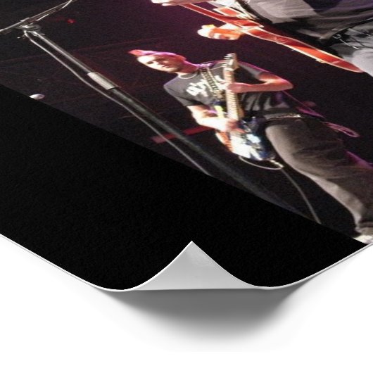 David Hasselhoff's Haircut poster (Hoek)