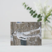 David in de Piazza della Signoria, Florence Briefkaart (Staand voorkant)