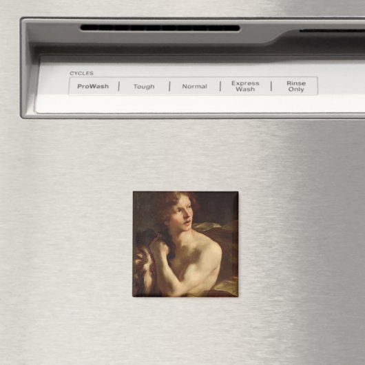 David Magneet (Insitu (Vaatwasser))