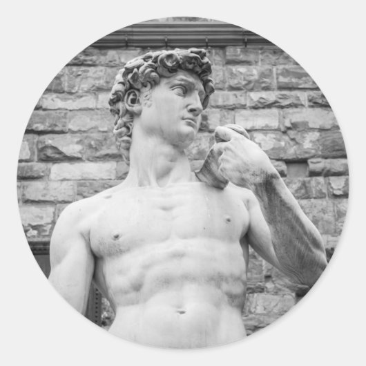 David (Michelangelo) Ronde Sticker (Voorkant)