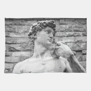 David (Michelangelo) Theedoek