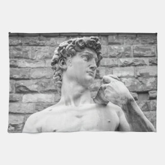 David (Michelangelo) Theedoek