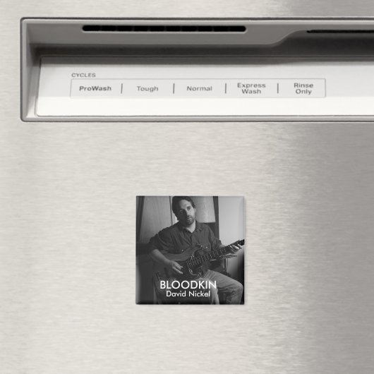 DAVID NICKEL MAGNET (Insitu (Vaatwasser))