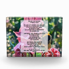 David Psalm 23 biblical quote Fotoblokken