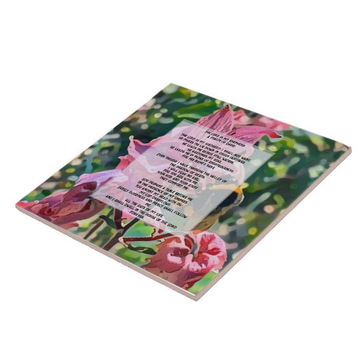 David Psalm 23 biblical quote Tegeltje (Zijkant)