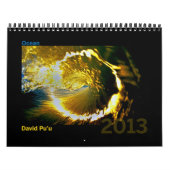 David Pu'u 2013 Agenda: Oceaan Kalender (Hoes)