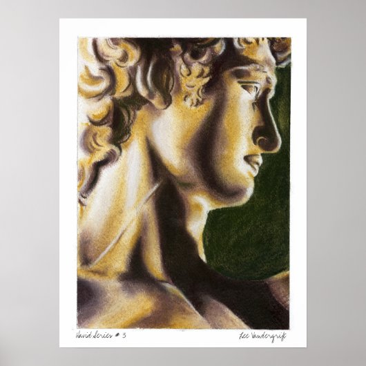 David series 3 van Lee Vandergrift Poster (Voorkant)