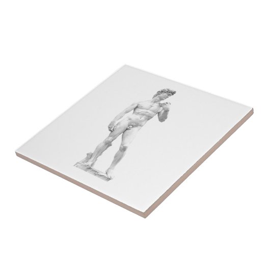 David Tile Tegeltje (Zijkant)