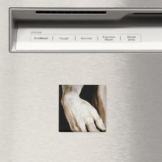 David van Michelangelo Buonarroti , 1501-04 Magneet (Insitu (Vaatwasser))