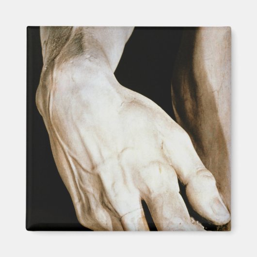 David van Michelangelo Buonarroti , 1501-04 Magneet (Voorkant)