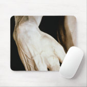 David van Michelangelo Buonarroti , 1501-04 Muismat (Met muis)