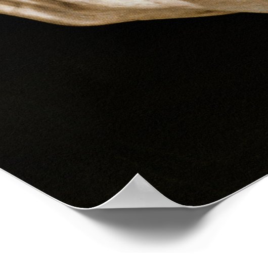 David van Michelangelo Buonarroti , 1501-04 Poster (Hoek)