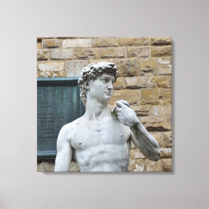 David van Michelangelo Canvas Afdruk