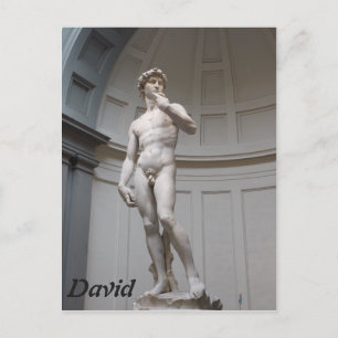 David van Michelangelo- Florence Briefkaart