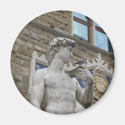 David van Michelangelo, Florence Italië Magneet (Voorkant)