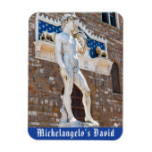 David van Michelangelo, Florence, Toscane, Italië Magneet (Verticaal)