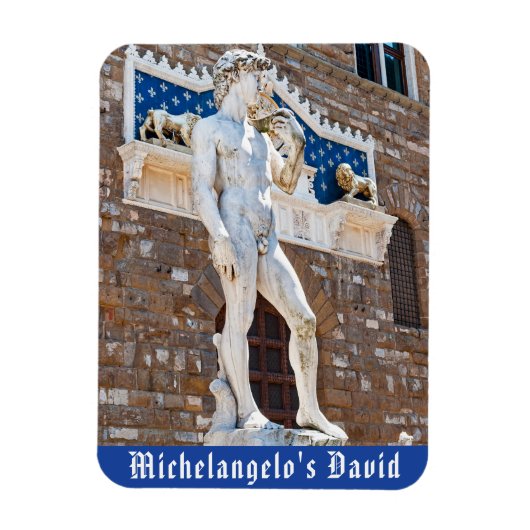 David van Michelangelo, Florence, Toscane, Italië Magneet (Verticaal)