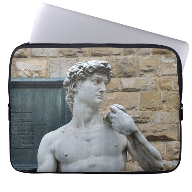 David van Michelangelo Laptop Sleeve (Voorkant)