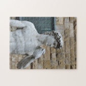 David van Michelangelo Legpuzzel (Horizontaal)