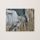 David van Michelangelo Legpuzzel (Horizontaal)
