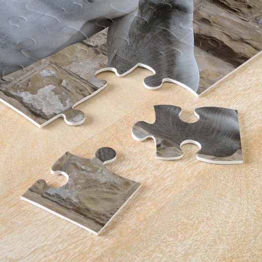 David van Michelangelo Legpuzzel (Zijkant)