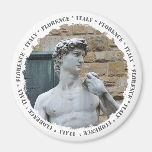 David van Michelangelo Magneet (Voorkant)