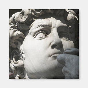 David van Michelangelo Magneet