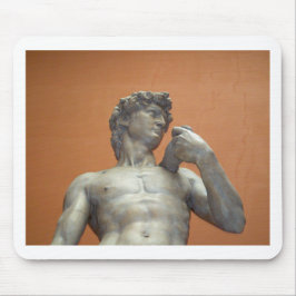 David van Michelangelo Muismat
