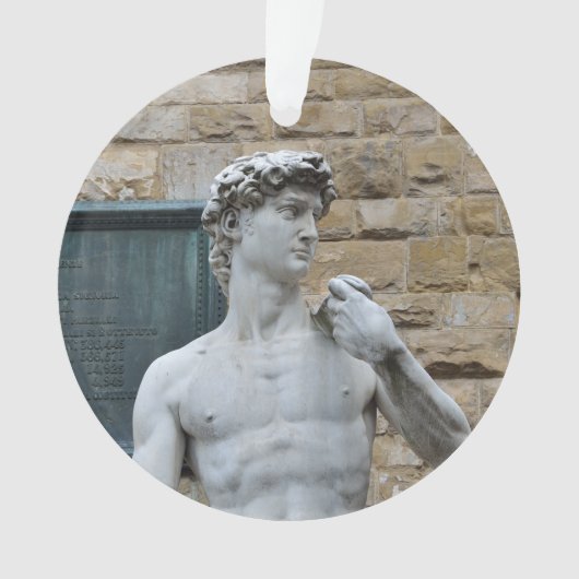 David van Michelangelo Ornament (voorkant)