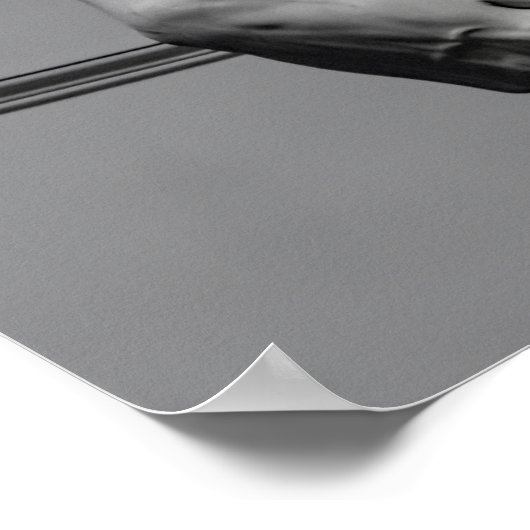 DAVID van MICHELANGELO Poster (Hoek)