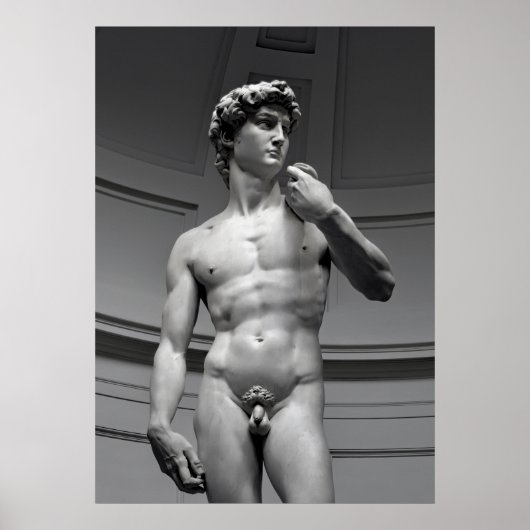 DAVID van MICHELANGELO Poster (Voorkant)