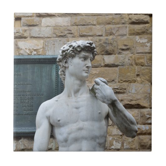 David van Michelangelo Tegeltje (Voorkant)