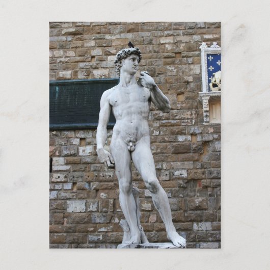 David van Michelanglo Briefkaart (Voorkant)