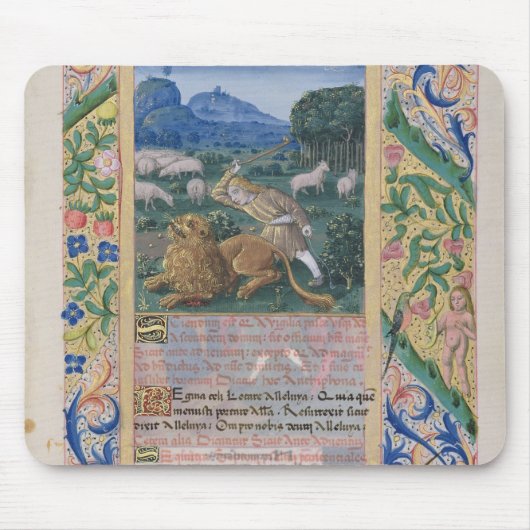 David verdedigt het schaap van zijn vader tegen ee muismat (Voorkant)