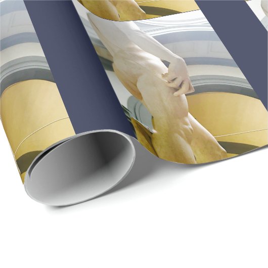 David's handwerkpapier cadeaupapier (Rol Hoek)