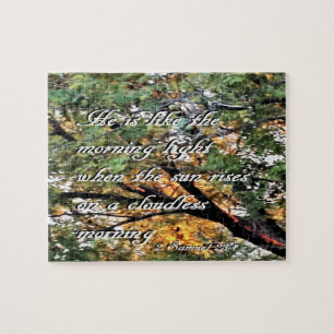 David's Last Song Legpuzzel