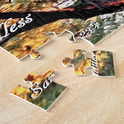 David's Last Song Legpuzzel (Zijkant)