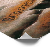 David's Napoleon die de Alpen kruist Poster (Hoek)