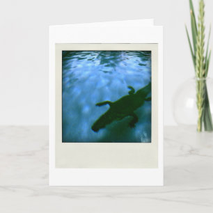 David's Pool 05b06 3d Computer Art Card Kaart